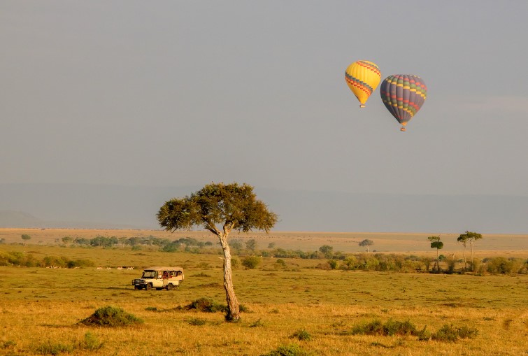 A hot air balloon drifting over the savannah at dawn