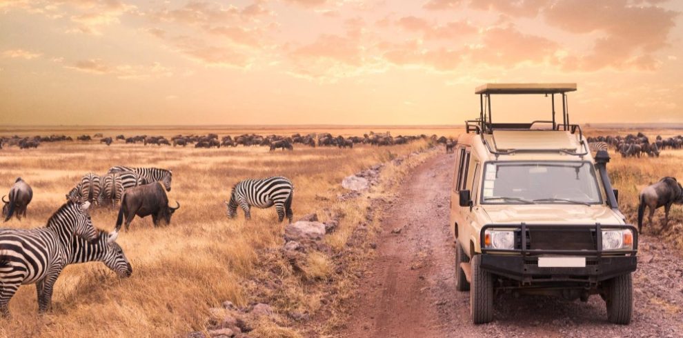 Wildlife on the plains of the Maasai Mara
