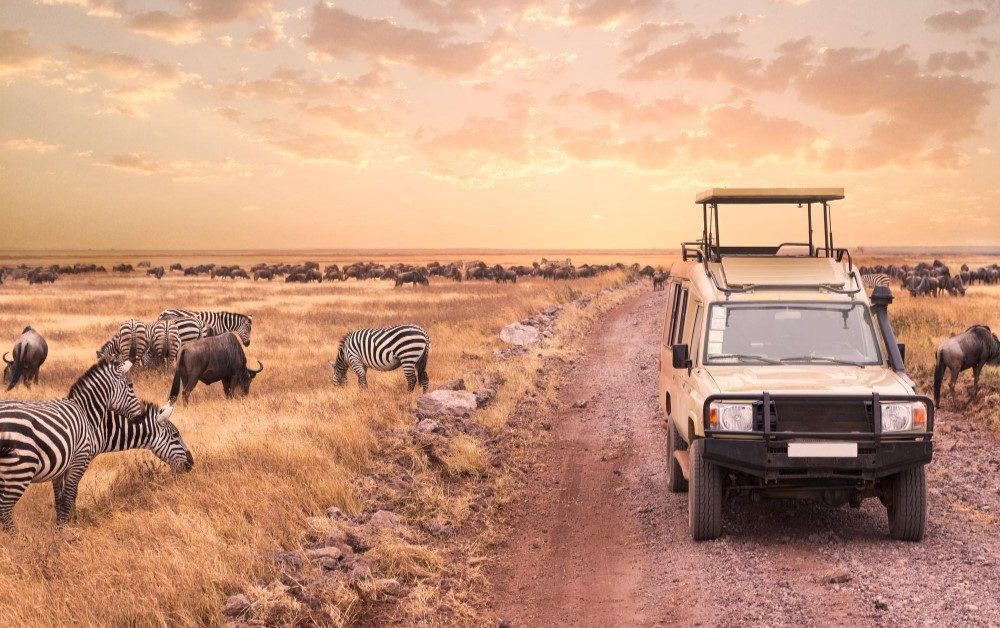 Wildlife on the plains of the Maasai Mara